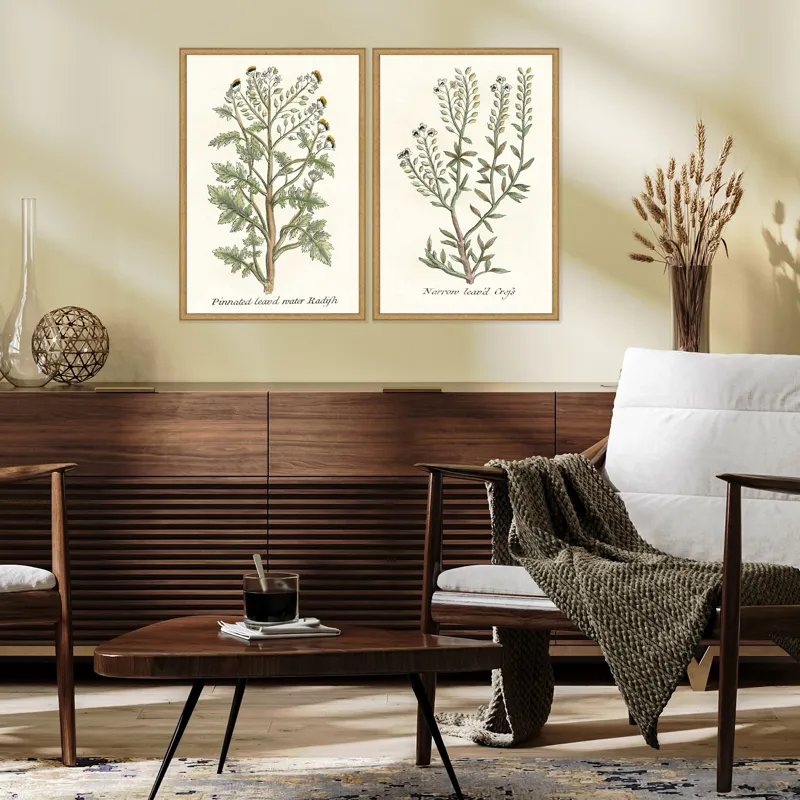 Botanical Plants II S/2 Framed Art