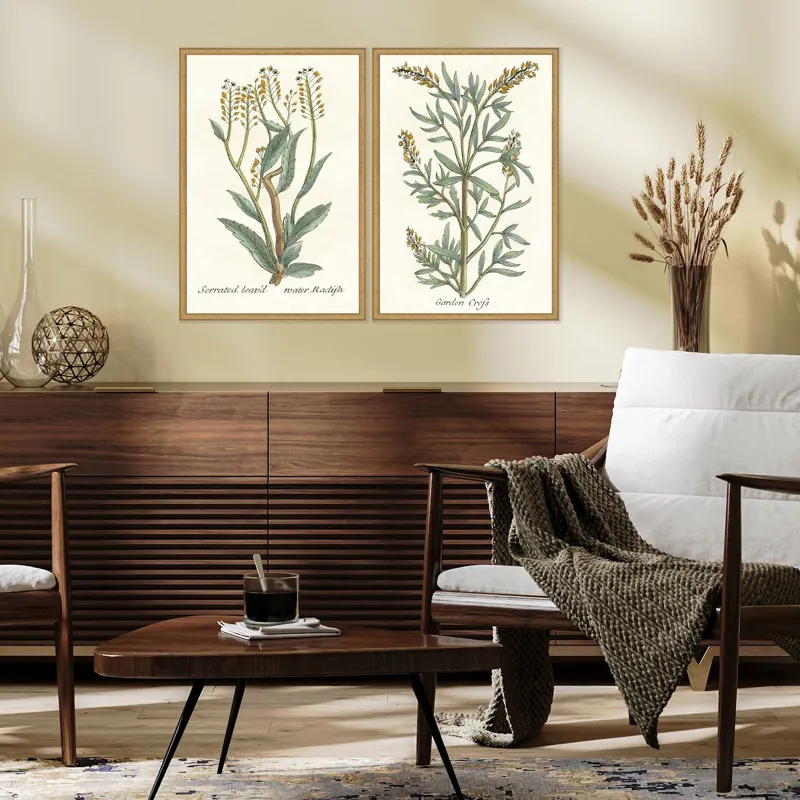 Botanical Plants III S/2 Framed Art