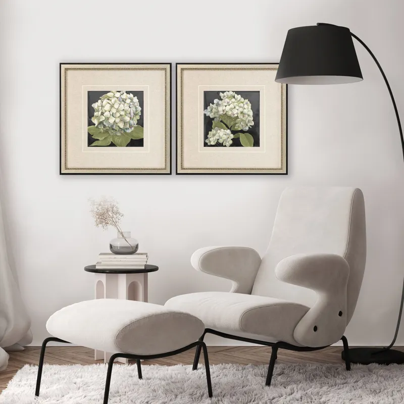 Hydrangeas on Black S/2 Framed Art