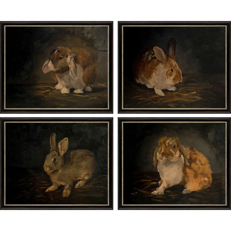 Resting Bunny S/4 Framed Art