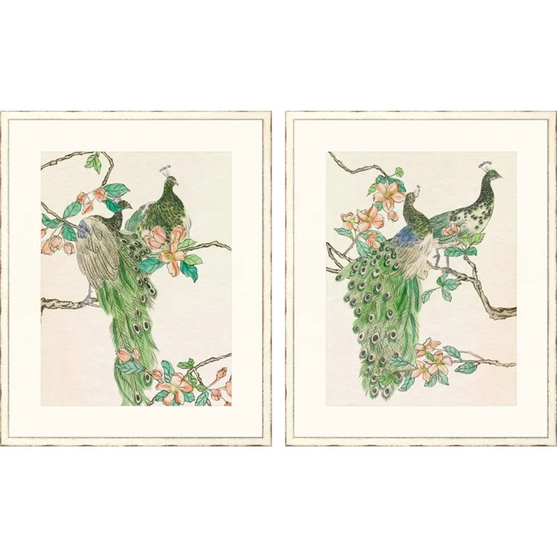 Emerald Peacock II S/2 Framed Art