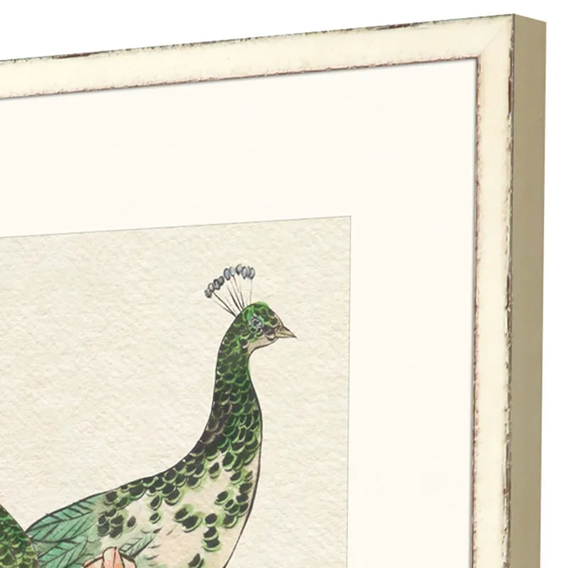 Emerald Peacock II S/2 Framed Art