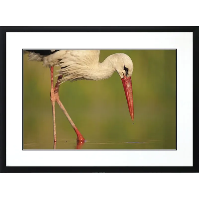 Collected Calm Framed Art