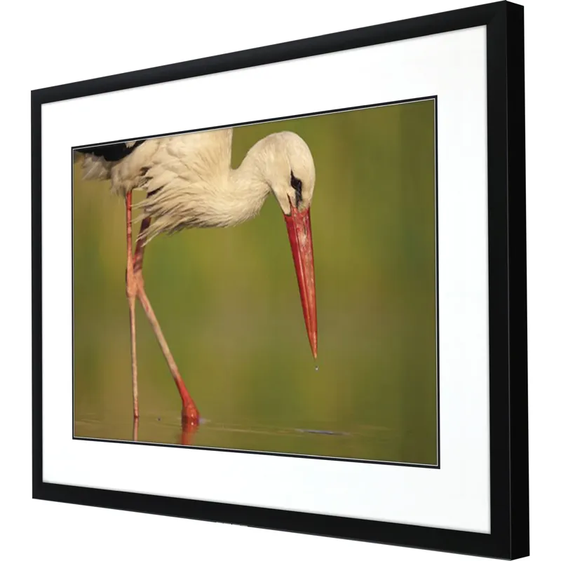 Collected Calm Framed Art