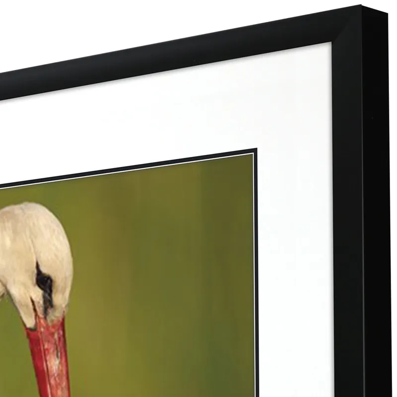 Collected Calm Framed Art