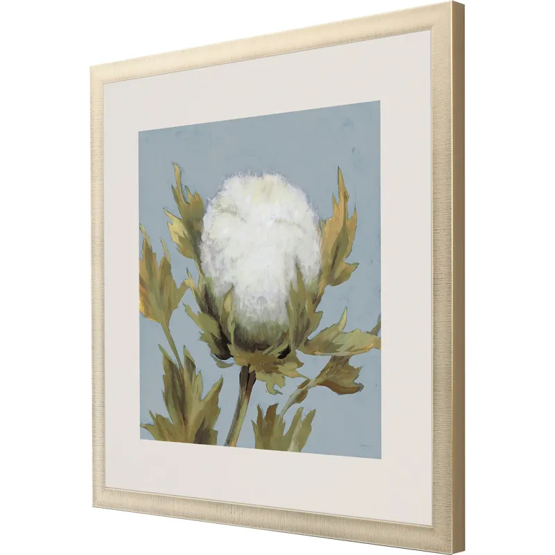 Cotton Balls I Framed Art