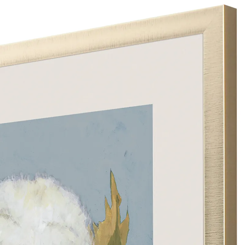 Cotton Balls I Framed Art