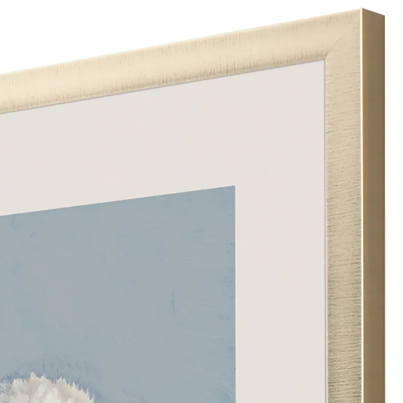 Cotton Balls II Framed Art