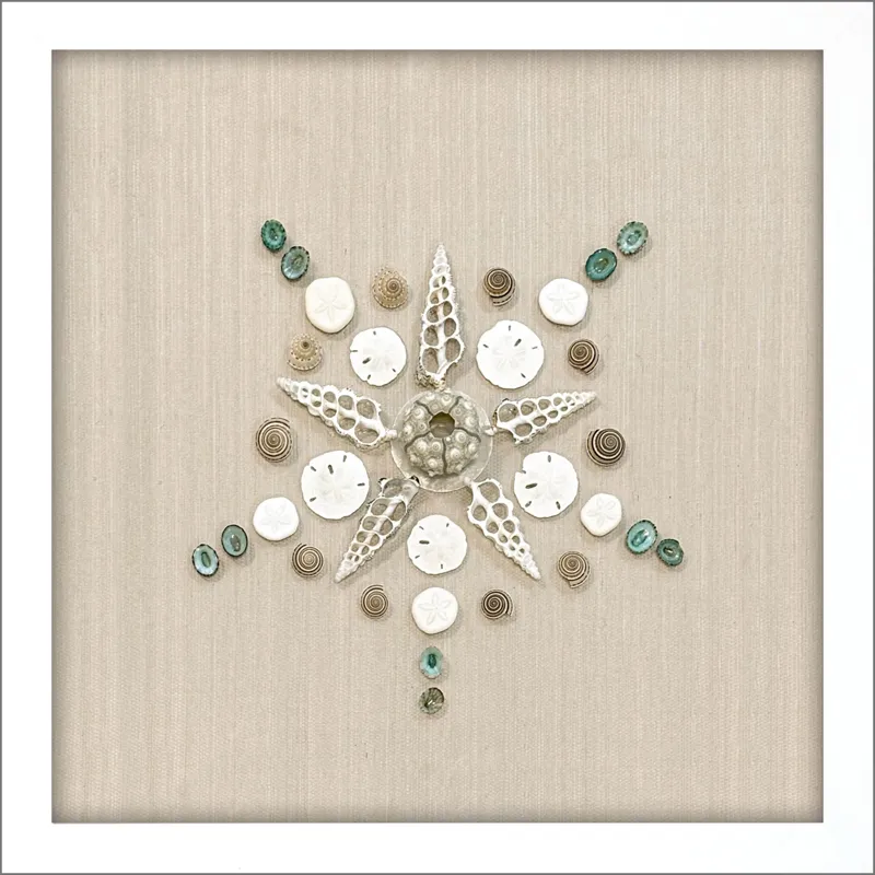 Caparazon I Framed Art