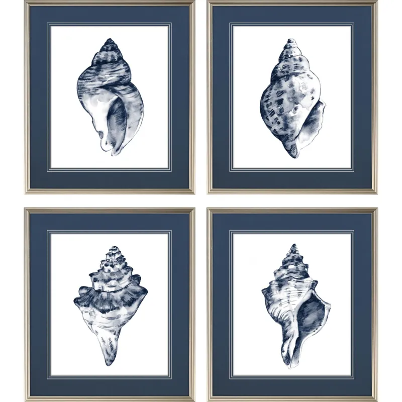 Quiet Conch S/4 Framed Art