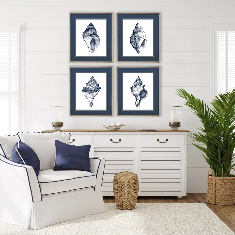 Quiet Conch S/4 Framed Art