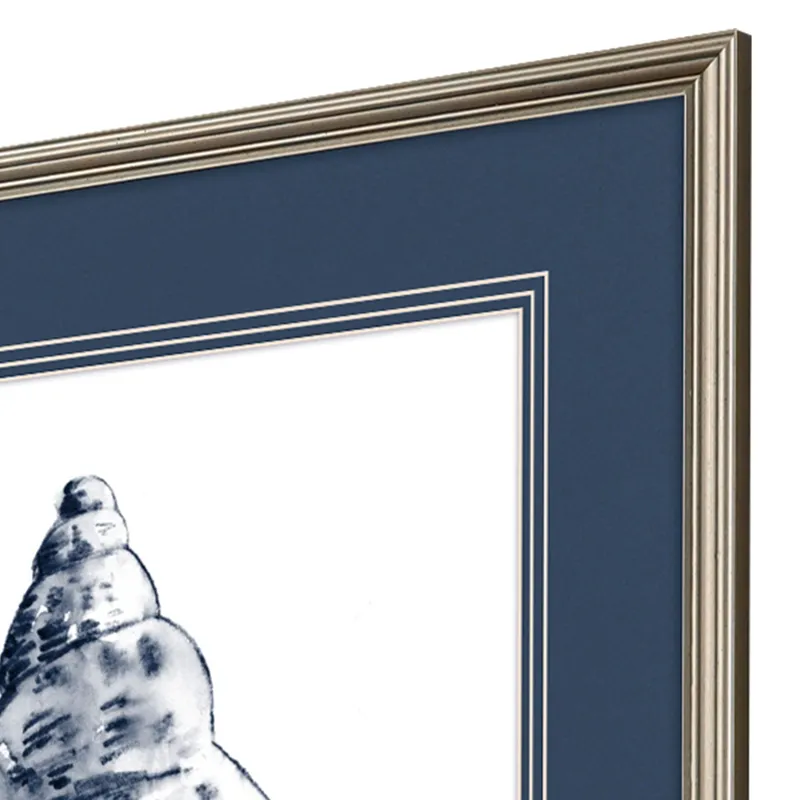 Quiet Conch S/4 Framed Art