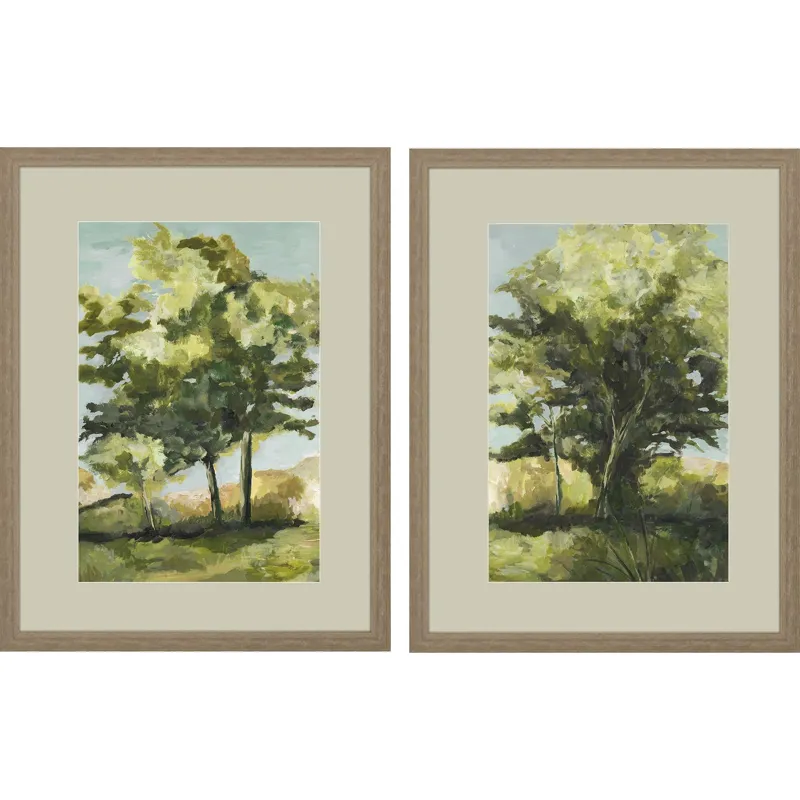 Calming Vista S/2 Framed Art