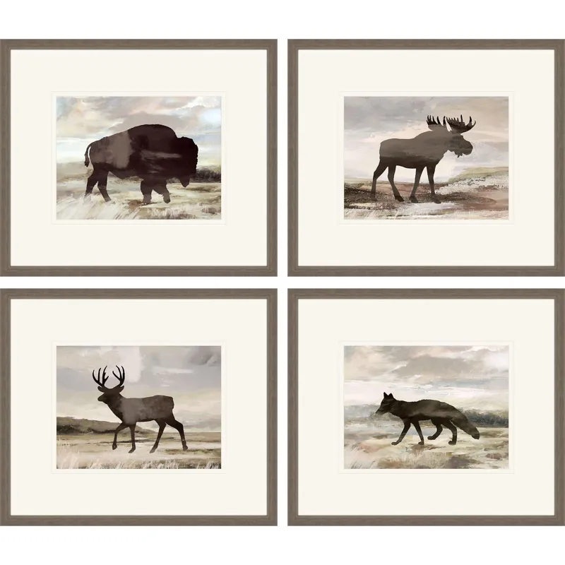 Wilderness Explorer S/4 Framed Art