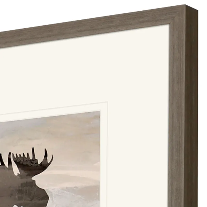 Wilderness Explorer S/4 Framed Art