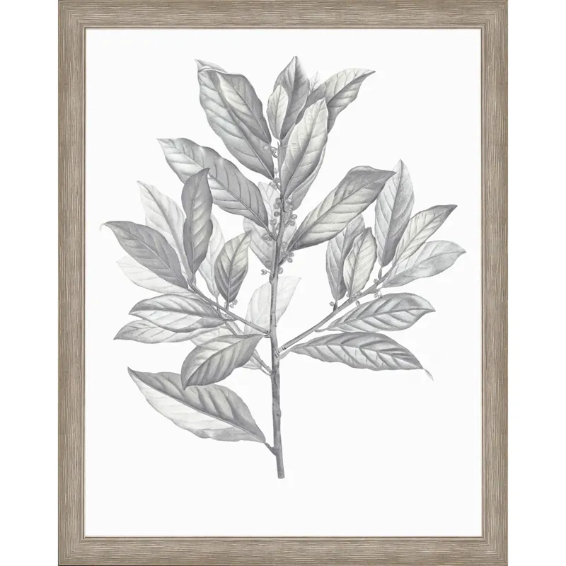 Silvered Leaves III Framed Art