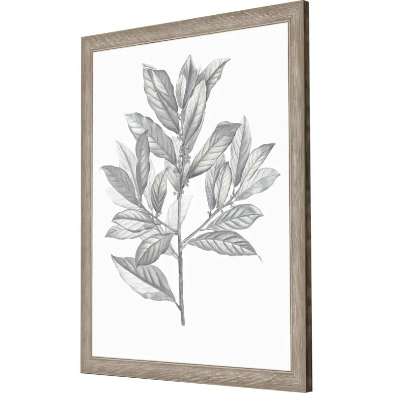 Silvered Leaves III Framed Art