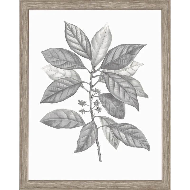 Silvered Leaves IV Framed Art