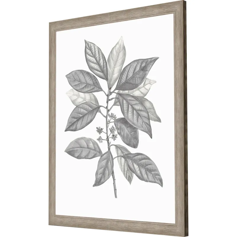 Silvered Leaves IV Framed Art