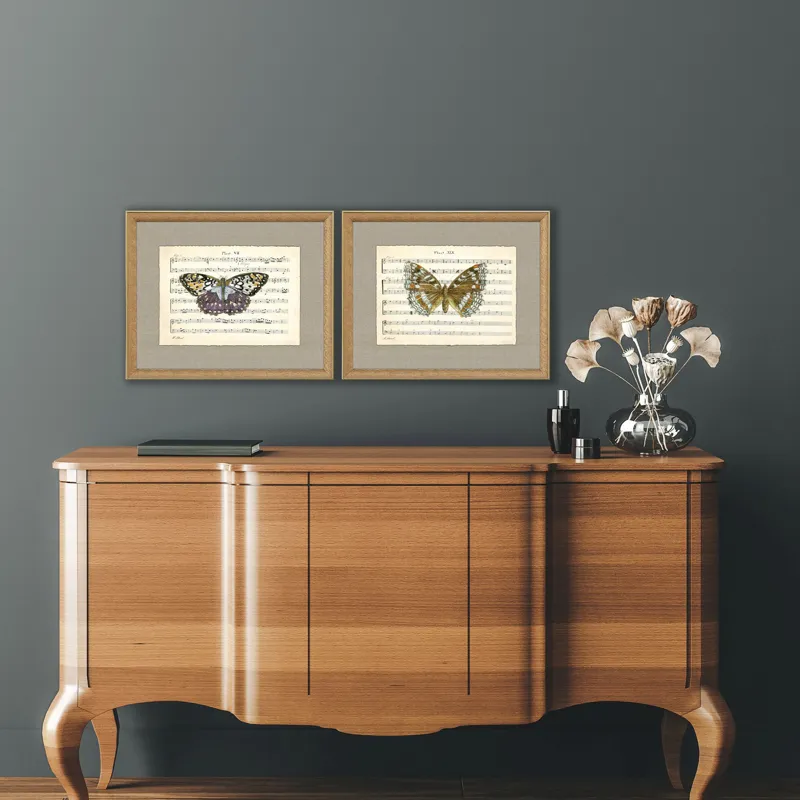 Musical Butterflies S/2 Framed Art