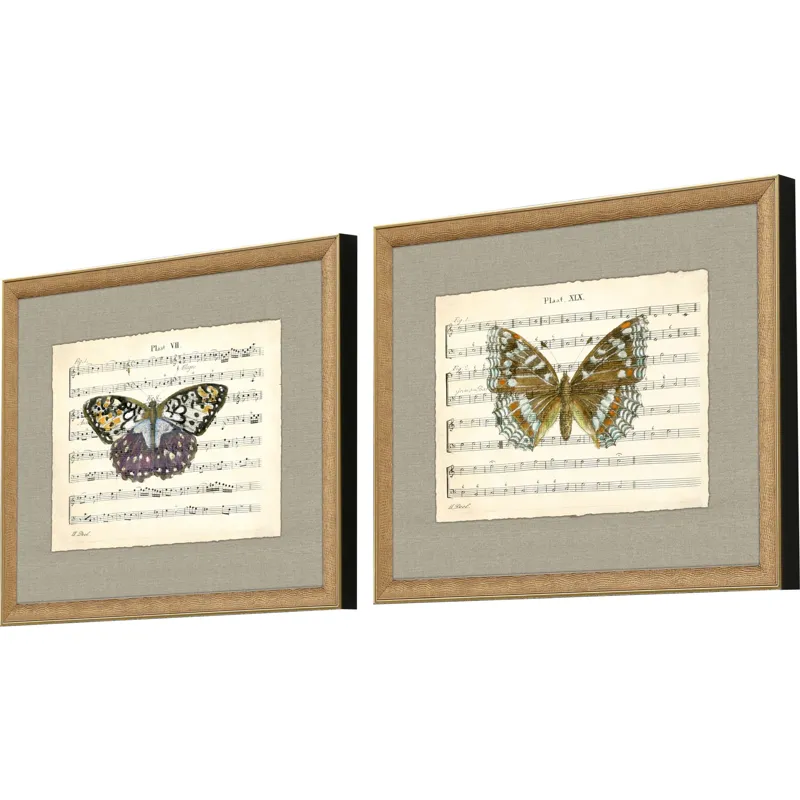 Musical Butterflies S/2 Framed Art