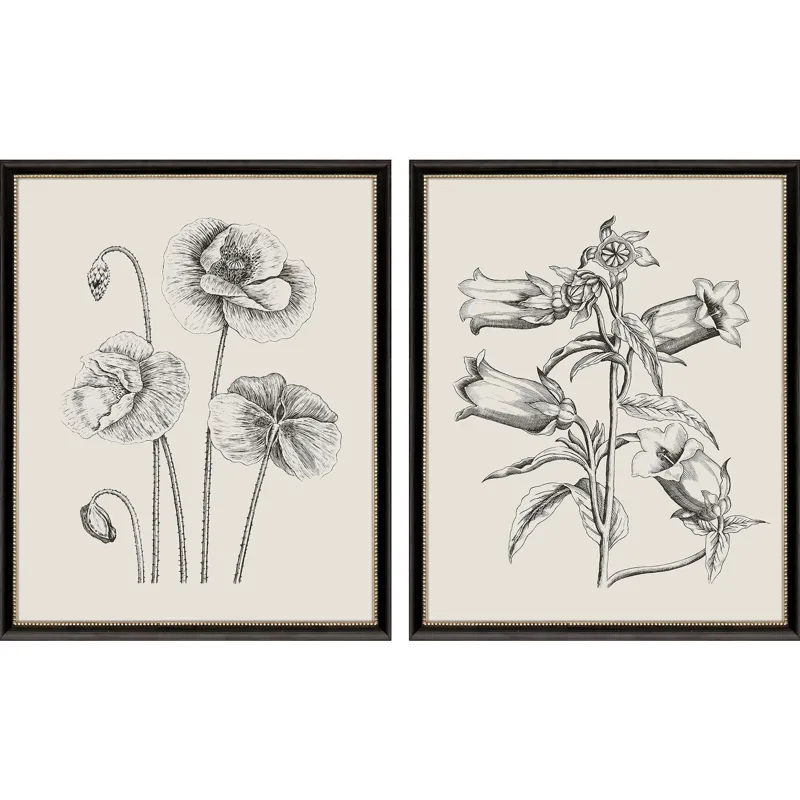 Garden Sketch S/2 Framed Art