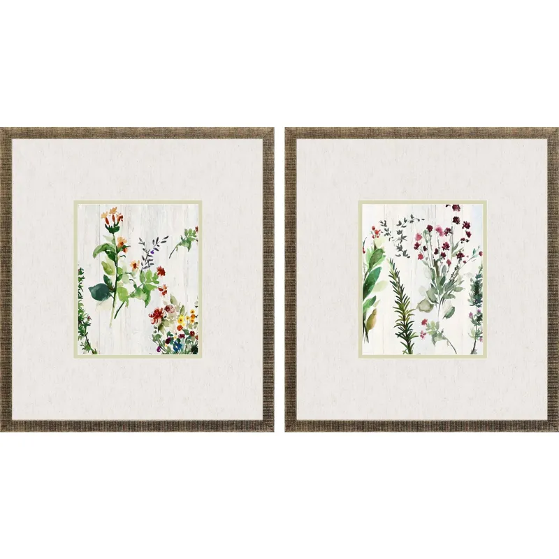 Forest Treasure S/2 Framed Art