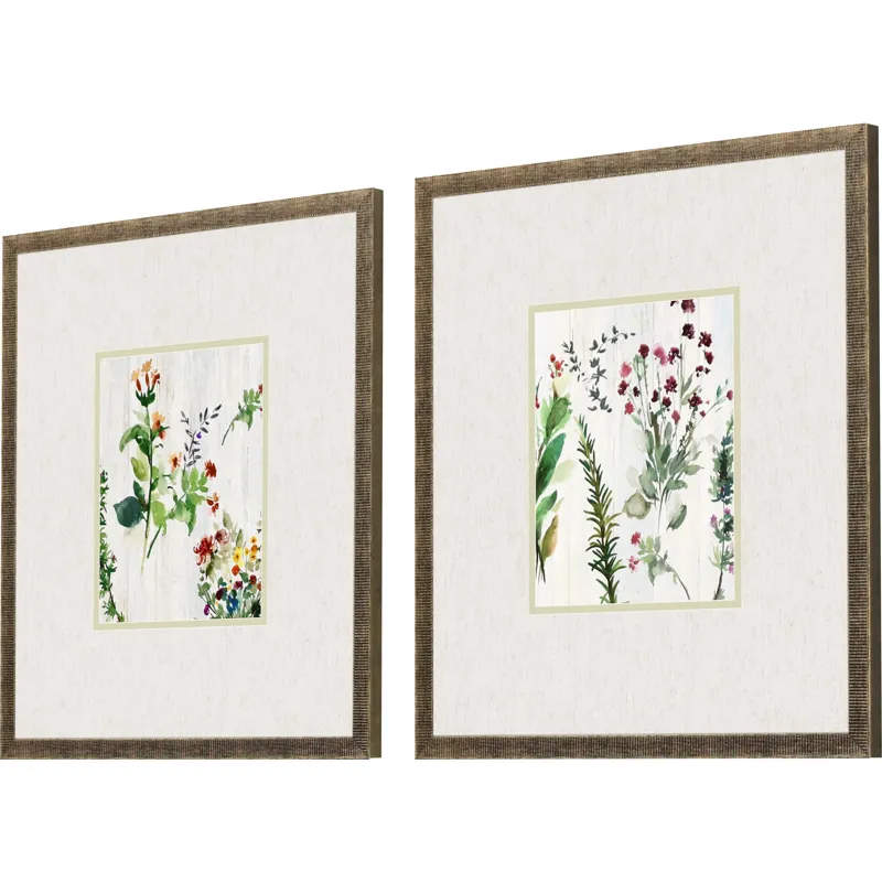 Forest Treasure S/2 Framed Art