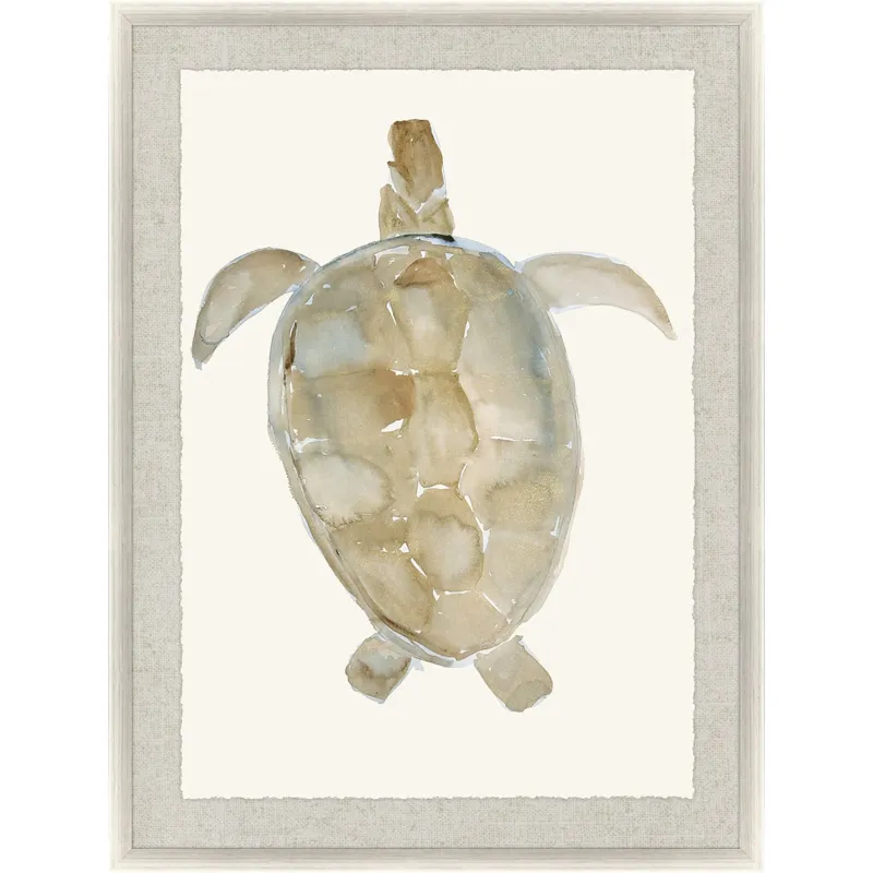 Neutral Turtle I Framed Art