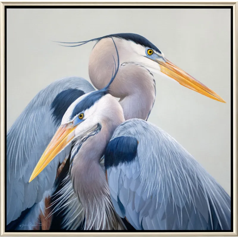 Harmony Canvas