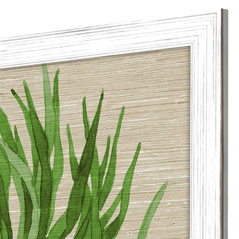 Palm Isle II S/2 Framed Art