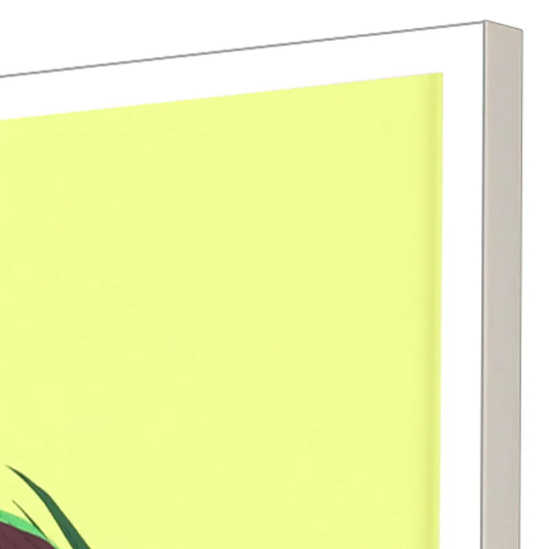 Friendly Parrots S/4 Framed Art