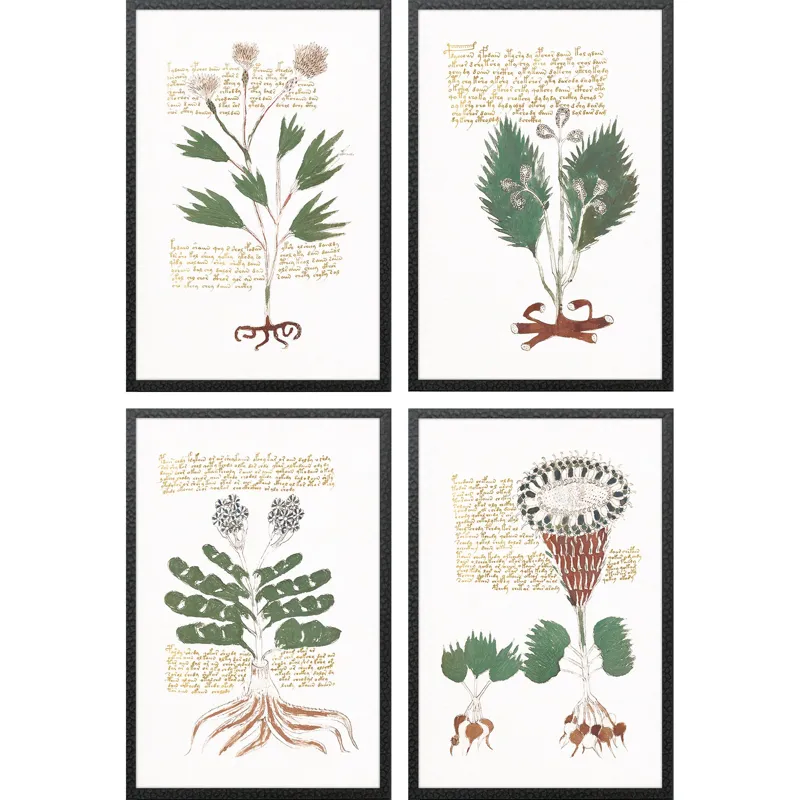 Magical Botany S/4 - Framed Art