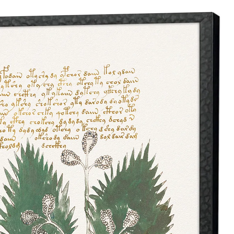 Magical Botany S/4 - Framed Art