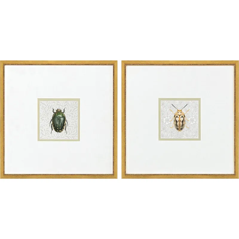 Beetles S/2 - Framed Art