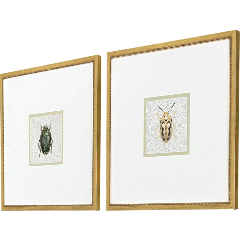 Beetles S/2 - Framed Art