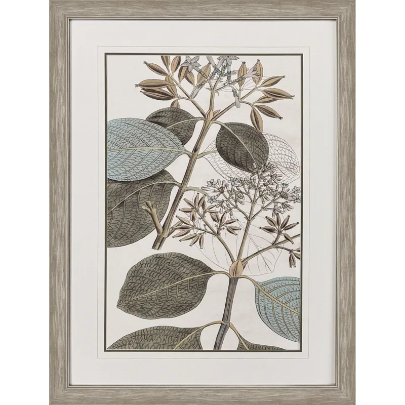 Flowering Botanical I - Framed Art