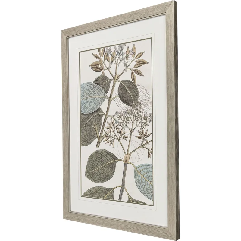 Flowering Botanical I - Framed Art