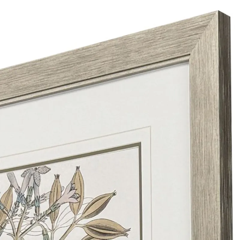 Flowering Botanical I - Framed Art