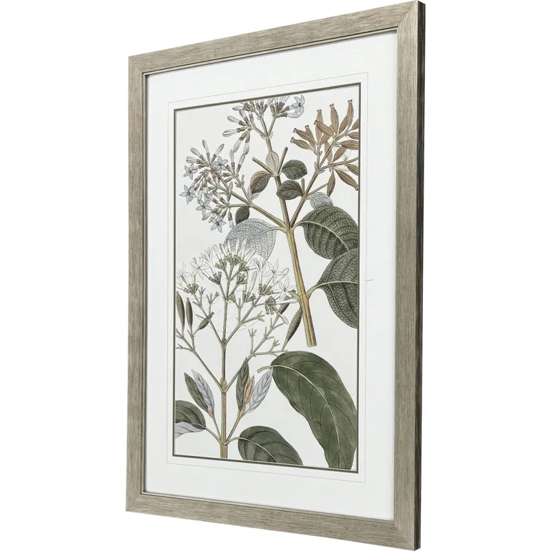 Flowering Botanical II - Framed Art