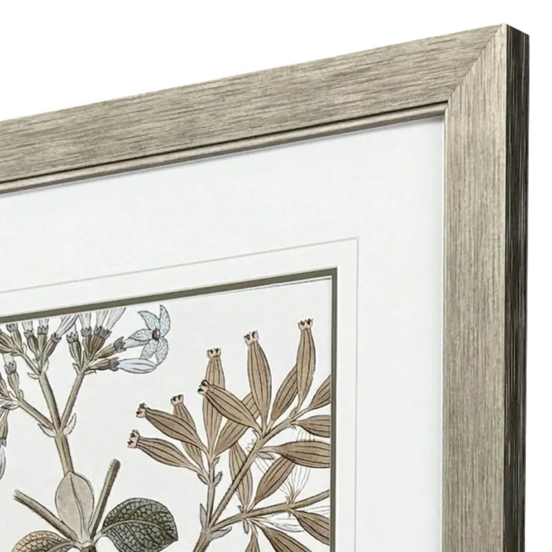 Flowering Botanical II - Framed Art