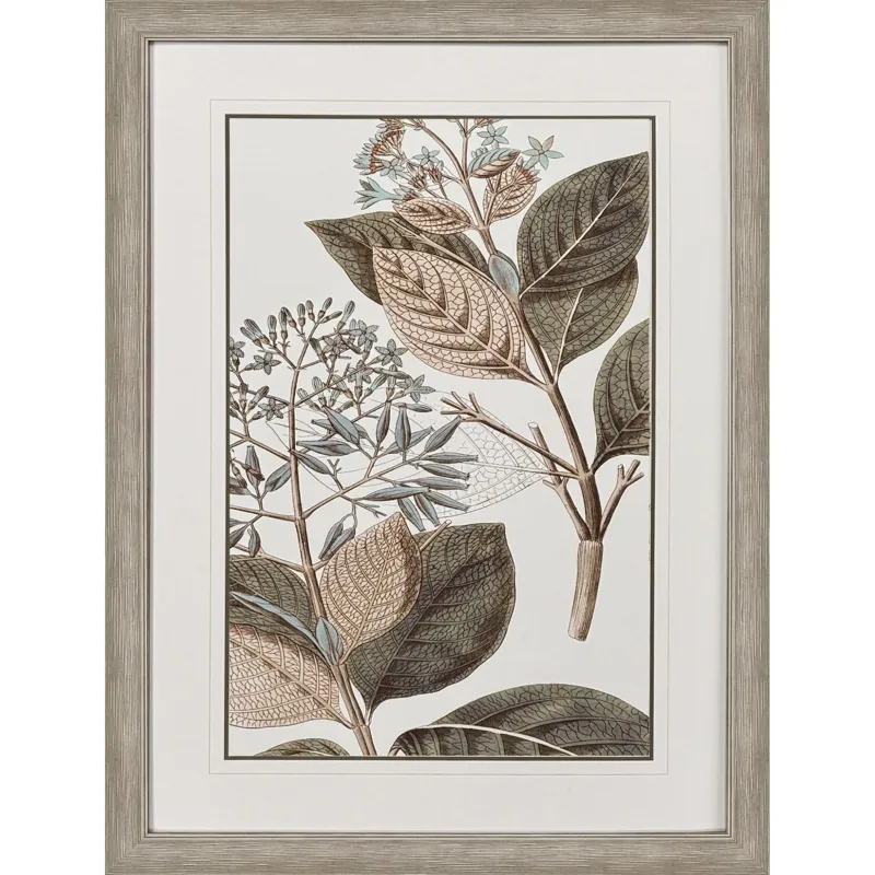Flowering Botanical III - Framed Art