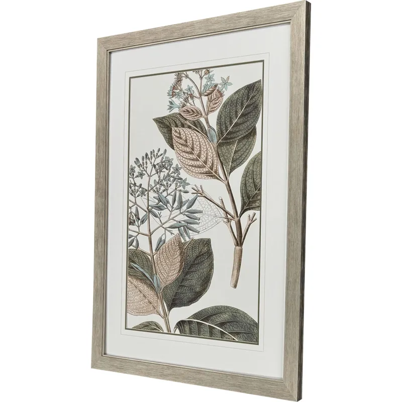 Flowering Botanical III - Framed Art