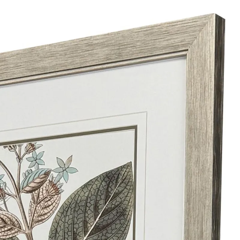 Flowering Botanical III - Framed Art
