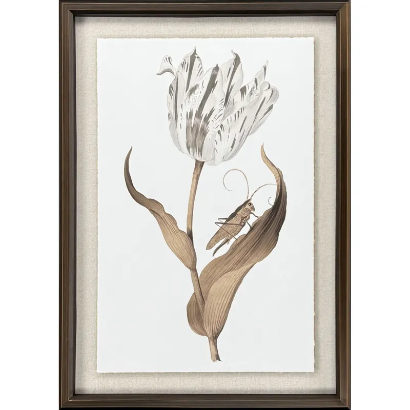 Gilded Tulip - Elegance - Framed Art
