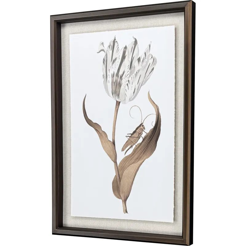 Gilded Tulip - Elegance - Framed Art