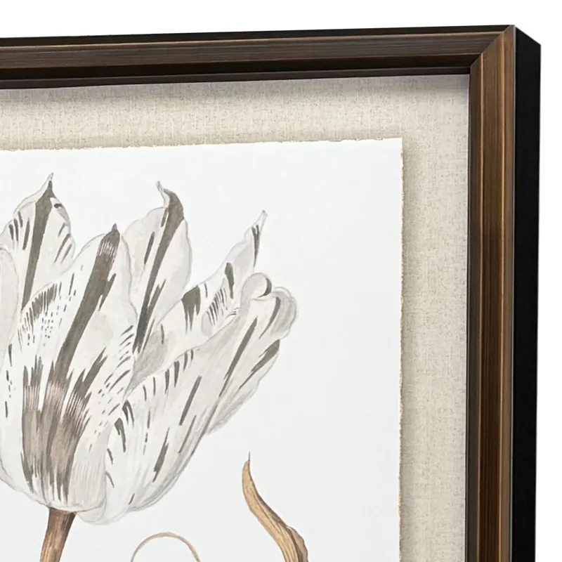 Gilded Tulip - Elegance - Framed Art