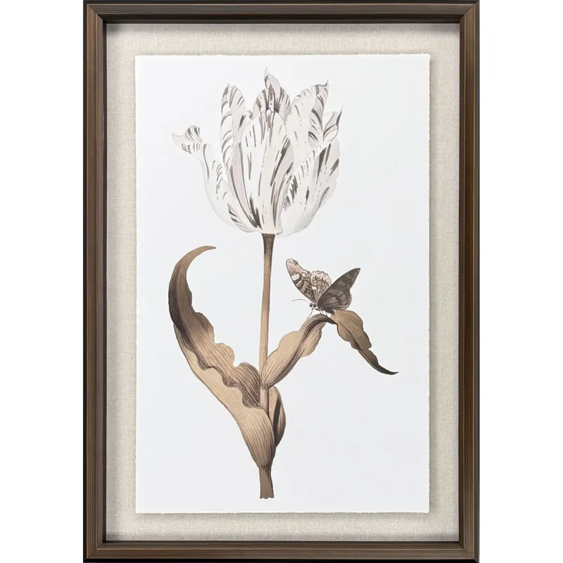 Gilded Tulip - Grace - Framed Art