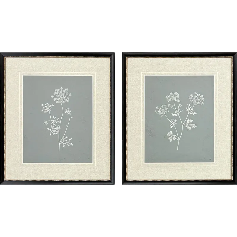 Nature's Gift I S/2 - Framed Art