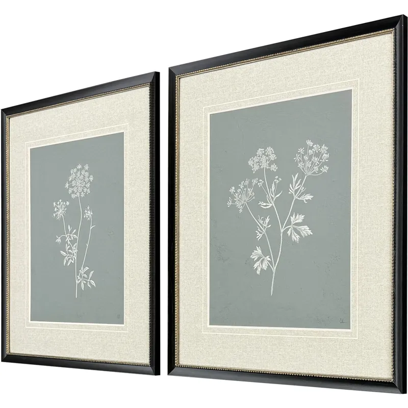 Nature's Gift I S/2 - Framed Art